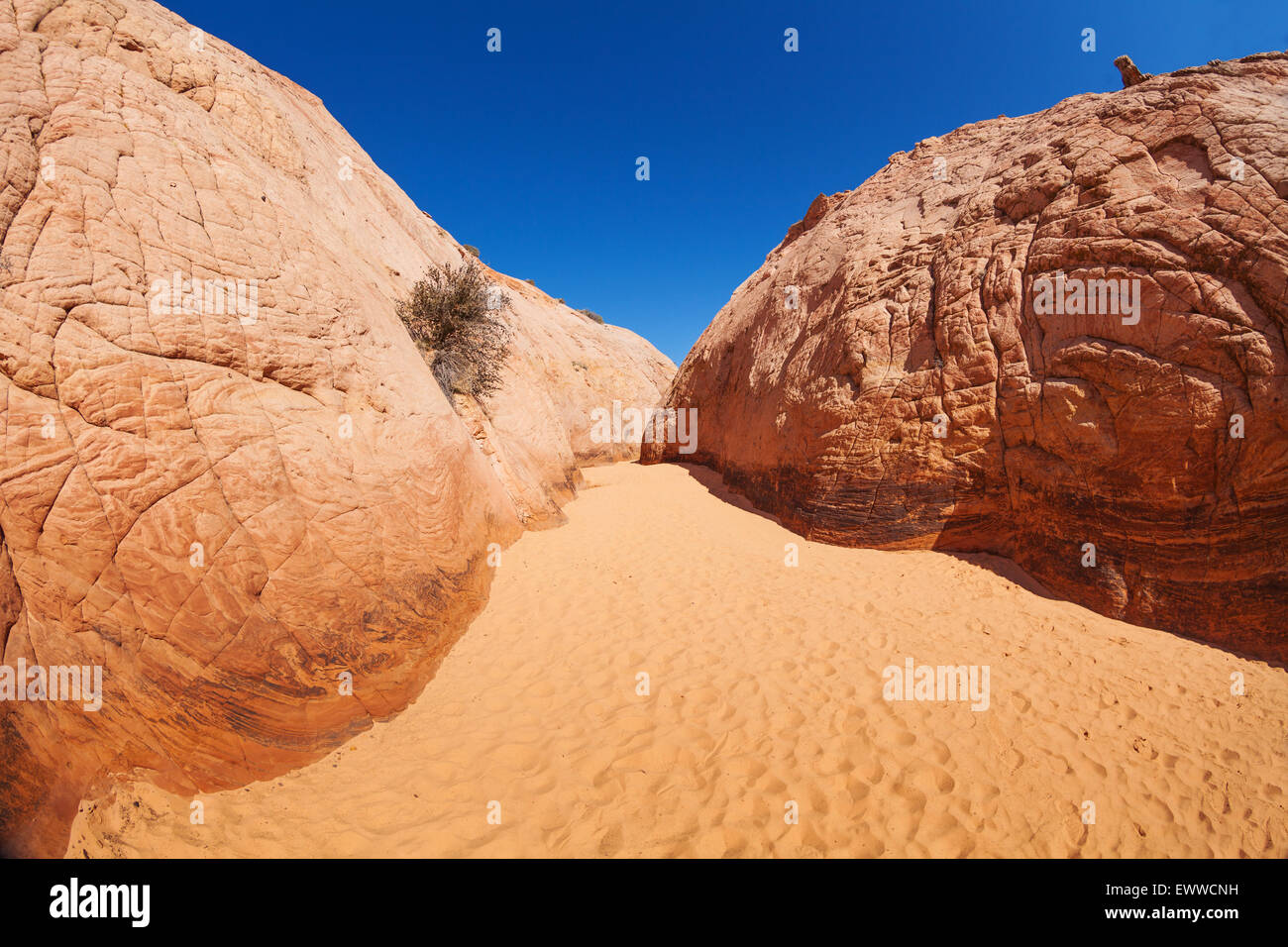 Zebra Slot Canyon, Utah, USA Banque D'Images