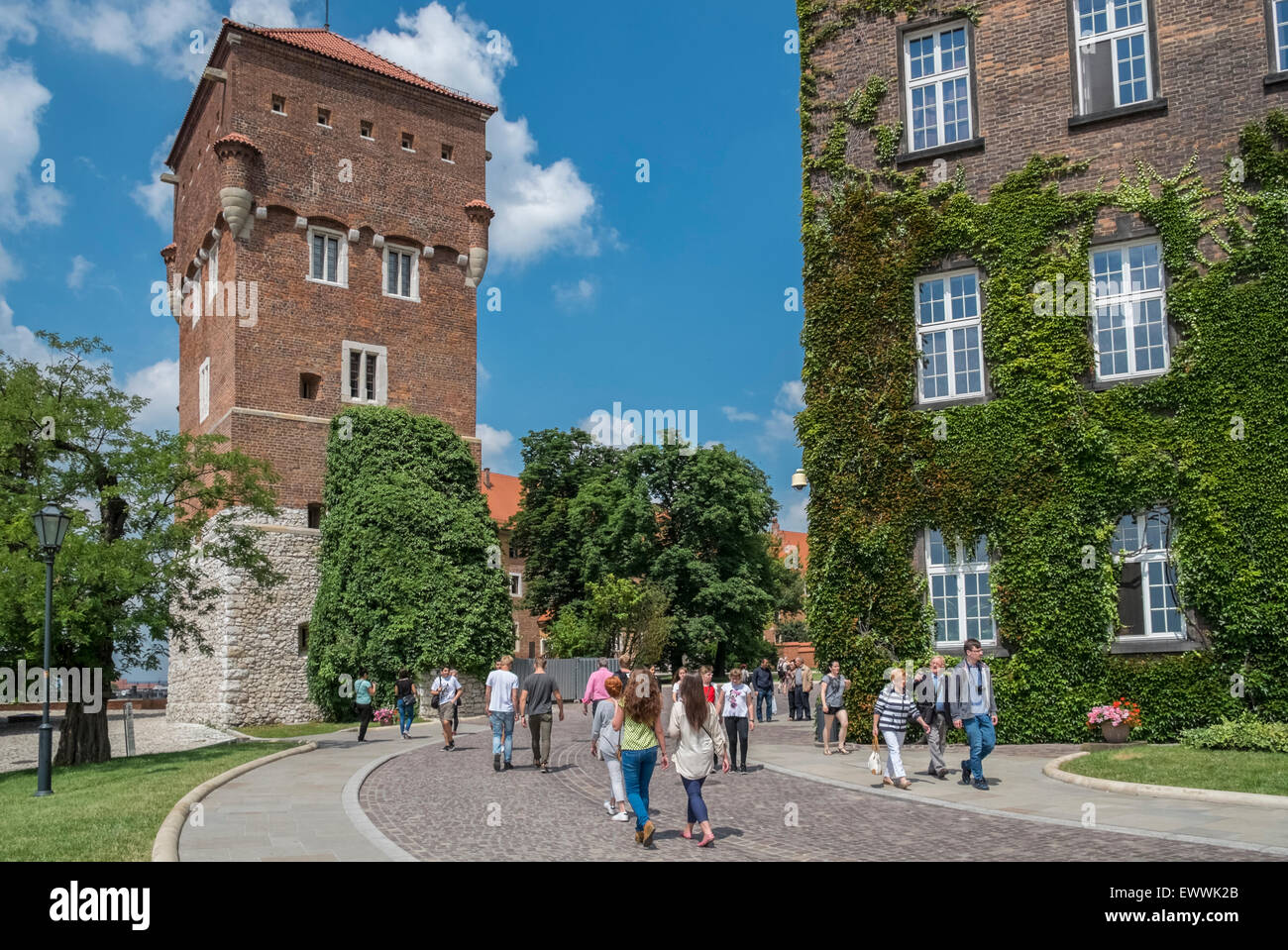 Les touristes qui entrent et qui sortent les motifs de Wawel sur une journée ensoleillée, vieille ville, Cracovie, Pologne Banque D'Images