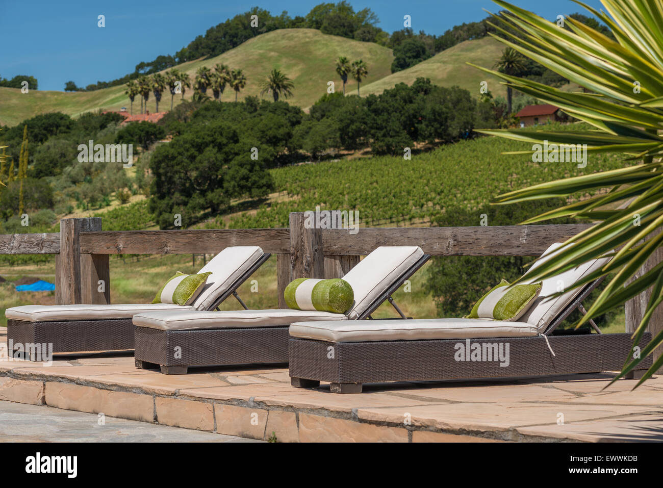 Chaises modernes chaise longue avec coussins sur terrasse dallée Banque D'Images