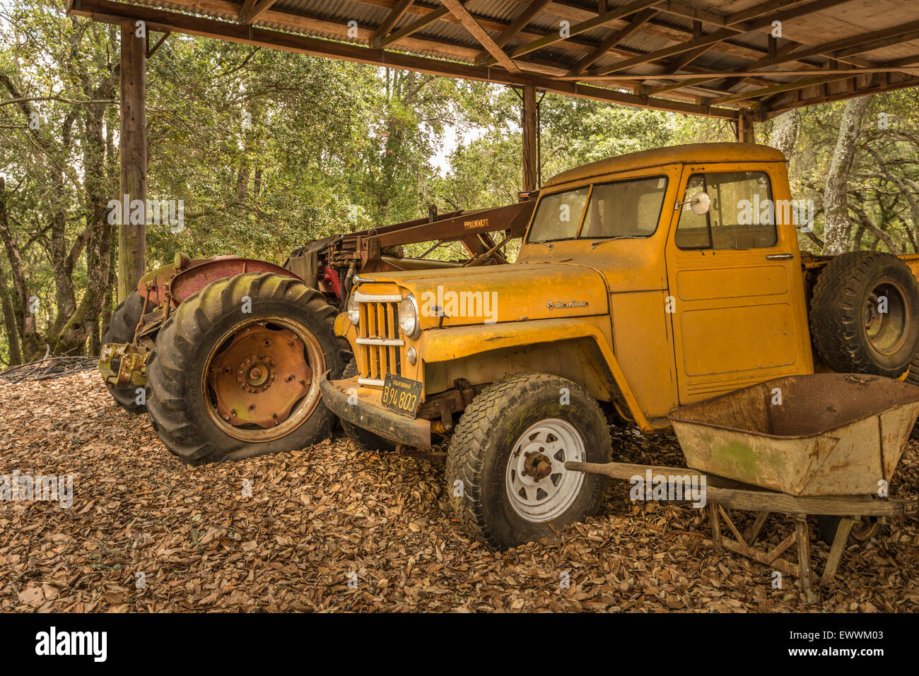 1954 Willys Jeep Camion, tracteur vintage et vieille brouette à l'abri Banque D'Images