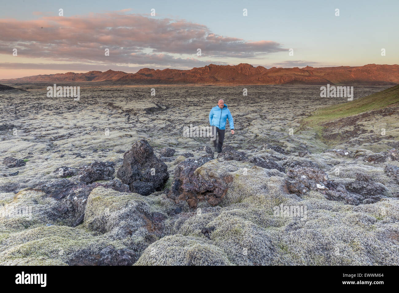 Homme randonnée solitaire sur un champ de lave en Islande, les montagnes en arrière-plan éclairé par le soleil couchant Banque D'Images