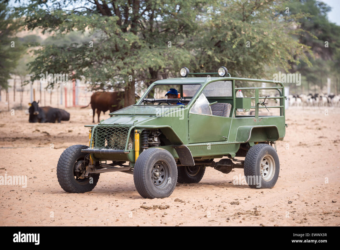 La Namibie, l'Afrique - l'équitation buggy fait maison sur la ferme de moutons Banque D'Images