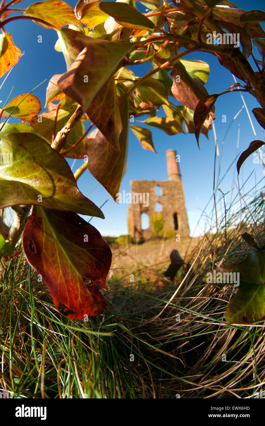 Mines d'étain en vieux Redruth, Cornwall Banque D'Images