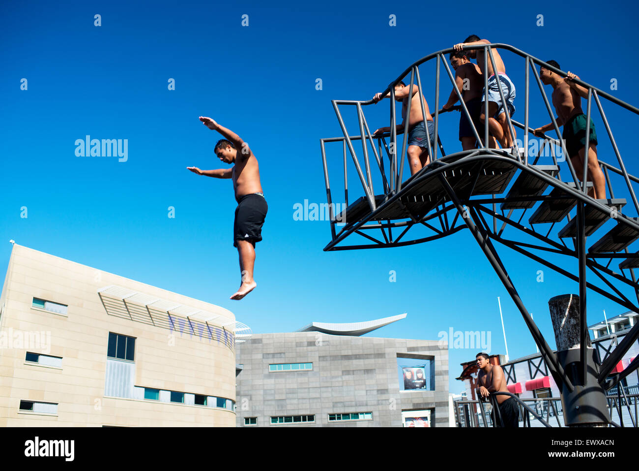 Les jeunes hommes de sauter d'une plate-forme à l'heure du déjeuner à côté de musée national Te Papa à Wellington, Nouvelle-Zélande. Banque D'Images