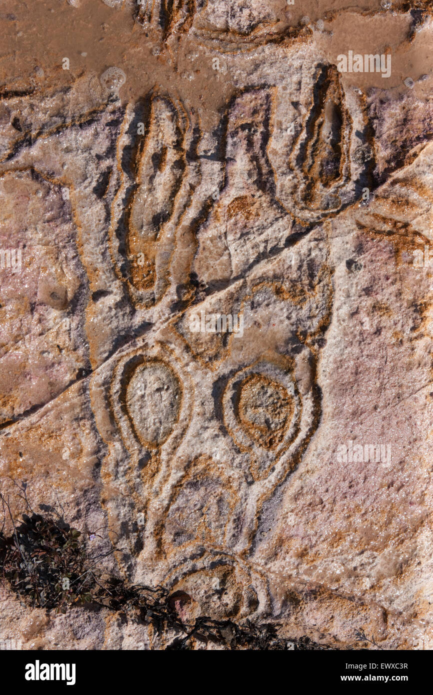 La formation de la roche volcanique au hasard formes de visage au cap, Fanaraki Asprokavos, Moudros Moudros, ville // l'île de Lemnos limnos, Grèce Banque D'Images