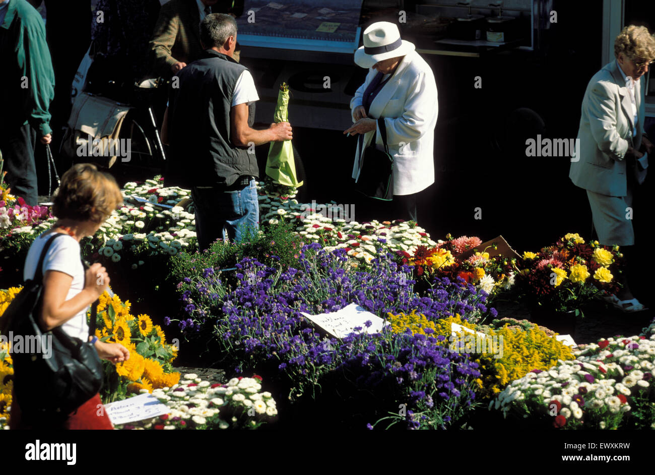 DEU, Allemagne, Aix-la-Chapelle, flower stall sur le marché en face de l'hôtel de ville DEU, Deutschland, Aix-la-Chapelle, Blumenverkauf auf dem Mark Banque D'Images