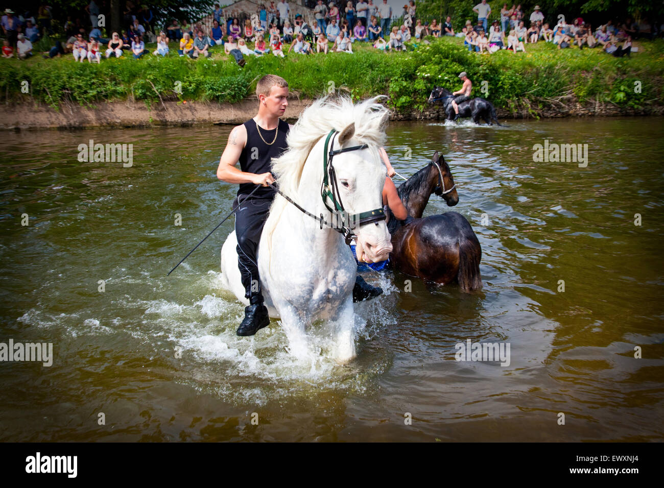 Laveun cheval dans la rivière en Appleby Horse Fair Photo Stock Alamy