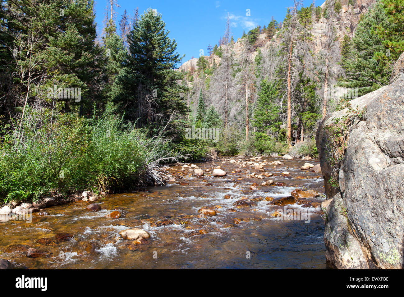Big Thompson River dans le Parc National de montagnes rocheuses Colorado USA Banque D'Images