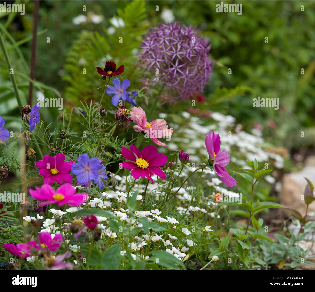 En chalet jardin fleurs d'été Banque D'Images