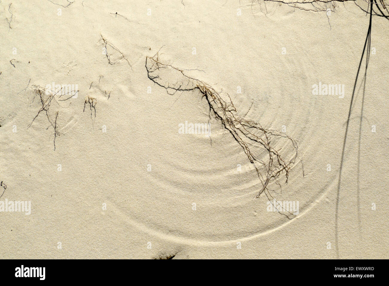 Rond gravé dans le sable par le sol sur la plage du golfe du Mexique près de Gulf Shores, Alabama. Banque D'Images