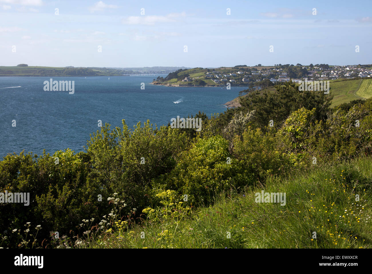 Sur la mer et les fleurs sauvages au point Zone du paysage, à la fin de la péninsule de Roseland, Cornwall, England, UK Banque D'Images