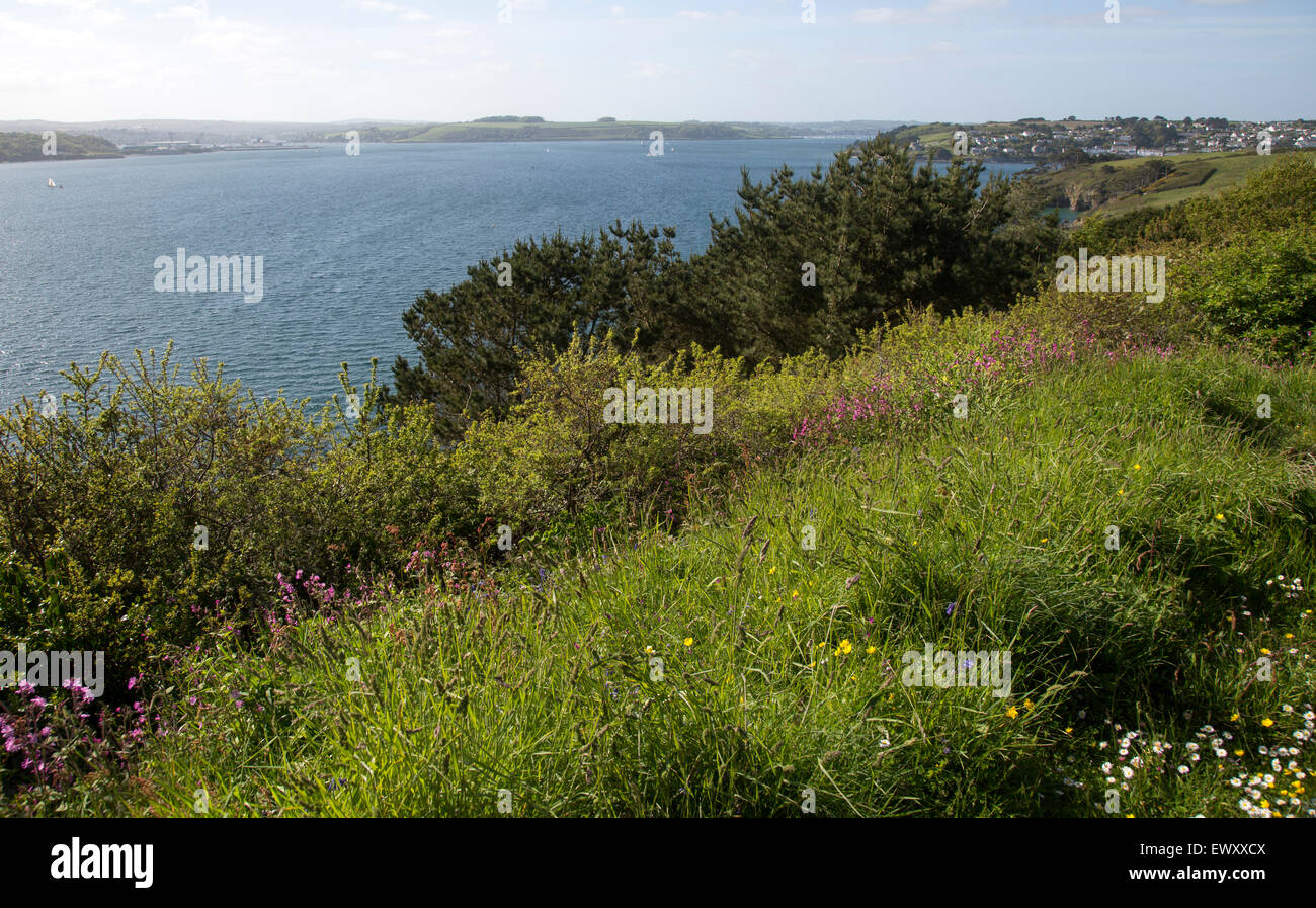 Sur la mer et les fleurs sauvages paysage à la fin de la péninsule de Roseland, Cornwall, England, UK Banque D'Images