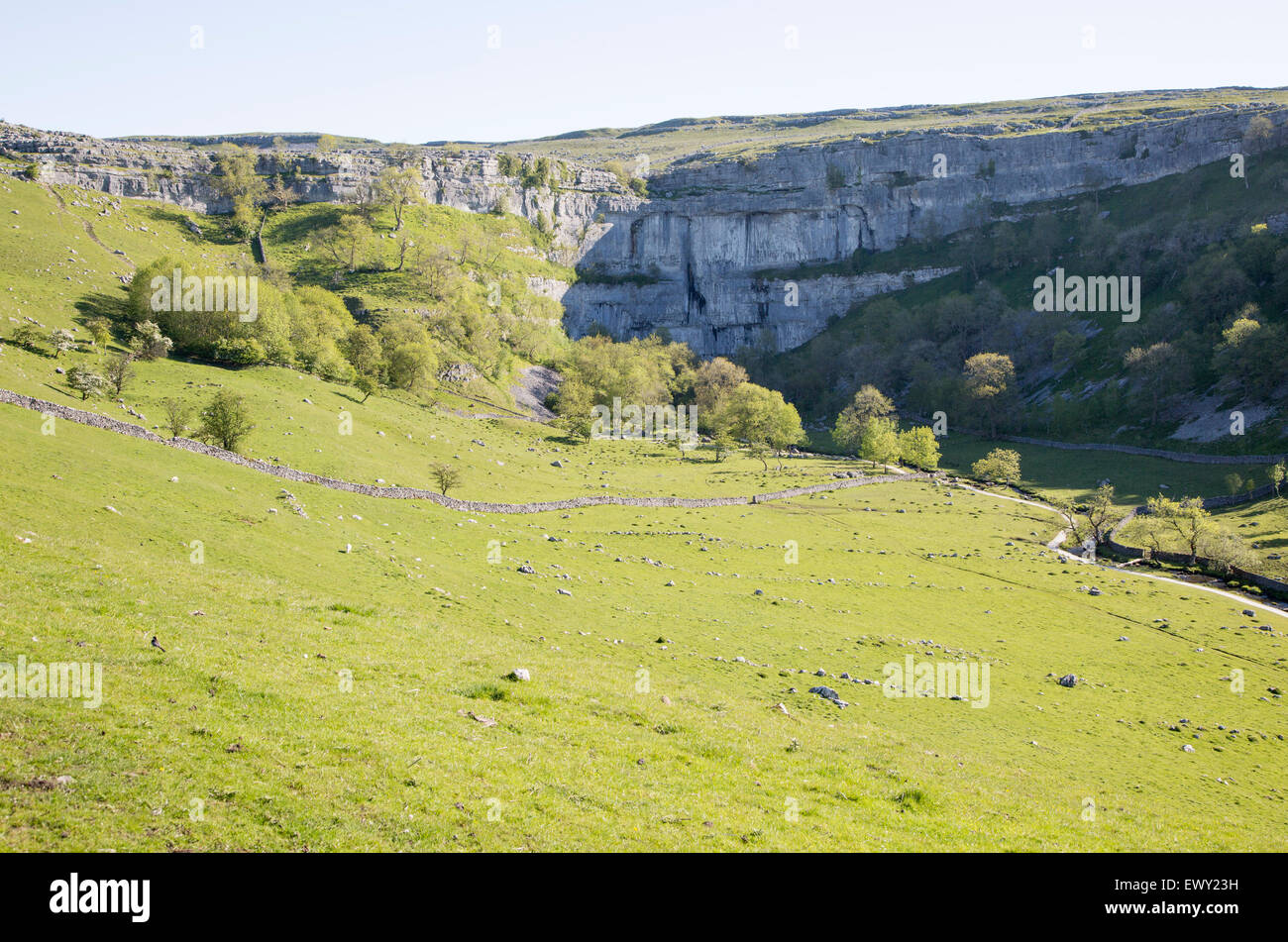 Malham Cove, dans le Yorkshire Dales national park, England, UK Banque D'Images