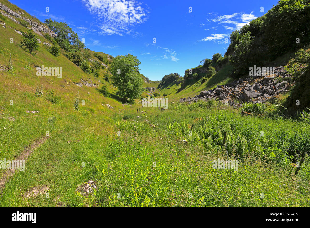 Dale Lathkill vallée sèche, parc national de Peak District, Derbyshire, Angleterre, Royaume-Uni. Banque D'Images
