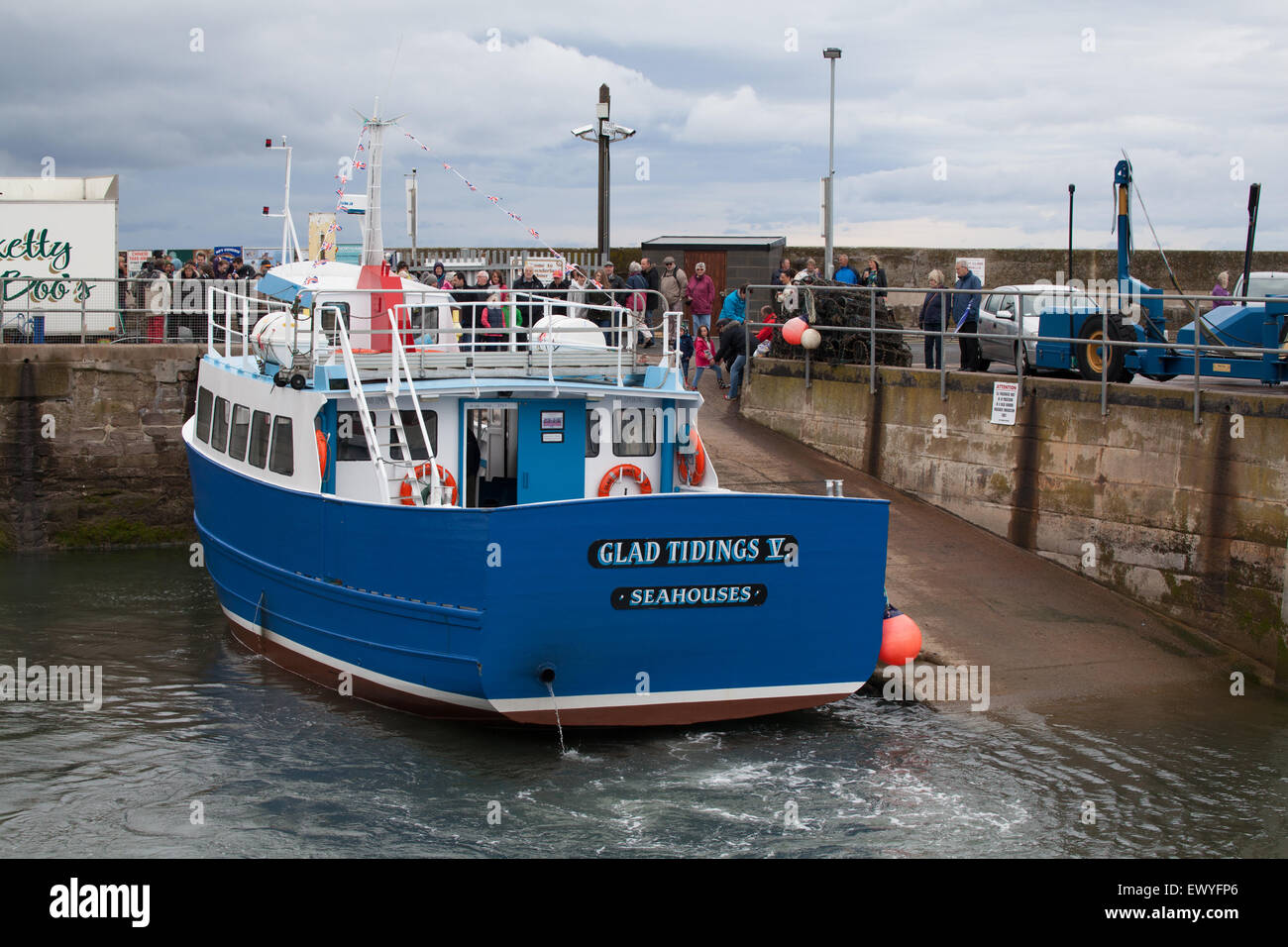 Bonne nouvelle 5 Iles Farne Excursions en bateau au port de plaisance en Grande-Bretagne Angleterre Northumberland Seahouses Banque D'Images