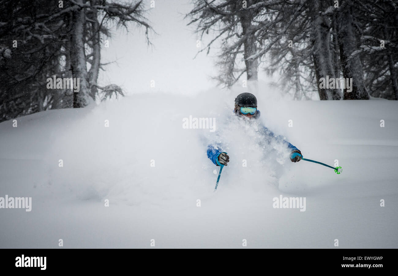 Homme ski en haute poudre en montagne, Autriche Banque D'Images