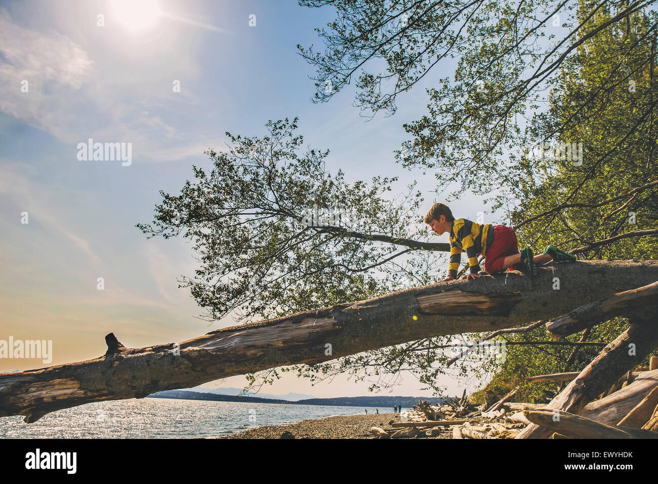 Garçon de grimper sur un tronc d'arbre par un lac Banque D'Images