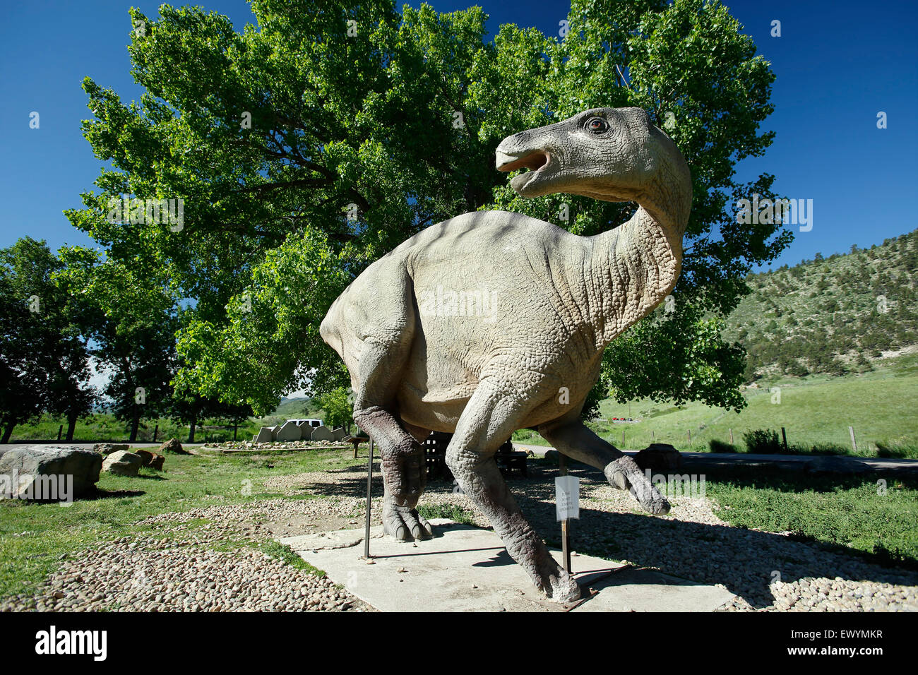 Modèle de l'Iguanodon, Dinosaur Dinosaur Ridge Visitor Centre, Morrison, Colorado USA Banque D'Images