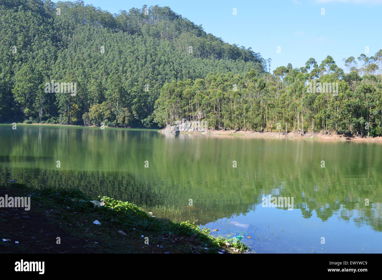 Echo Point, Munnar, Kerala, Inde Banque D'Images