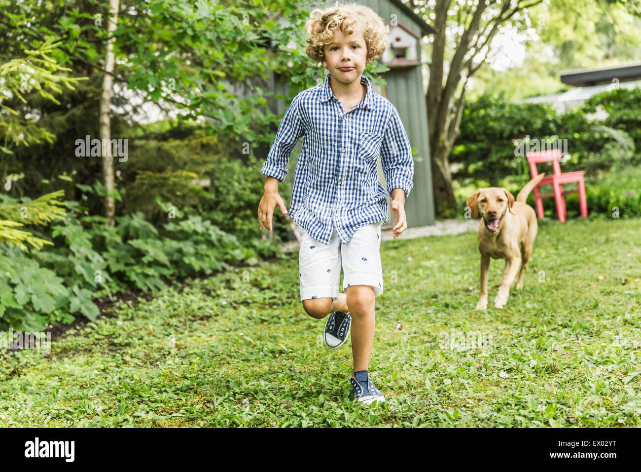 Boy running with dog in garden Banque D'Images