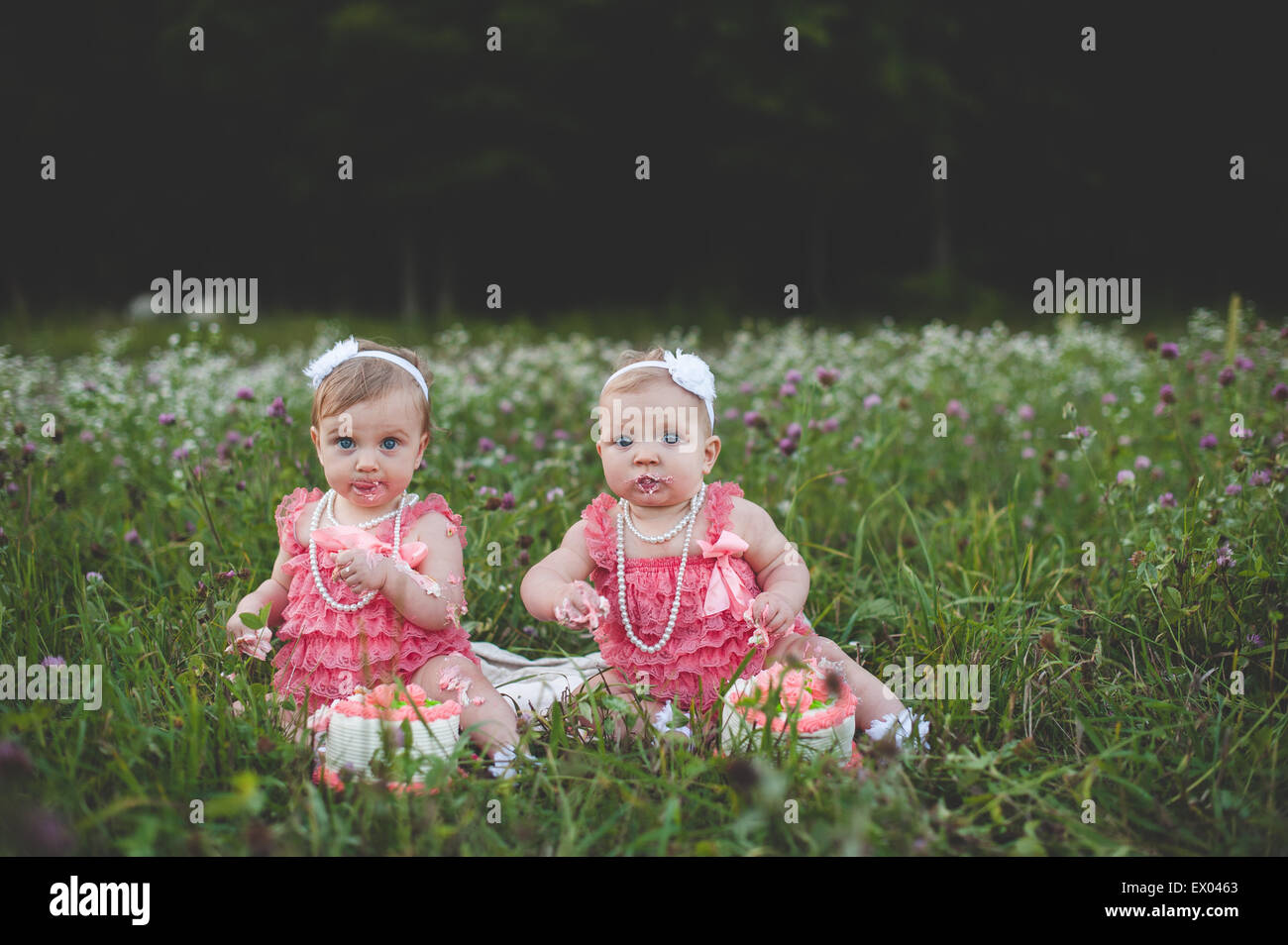Portrait of baby twin sisters sitting in wildflower meadow eating cake Banque D'Images
