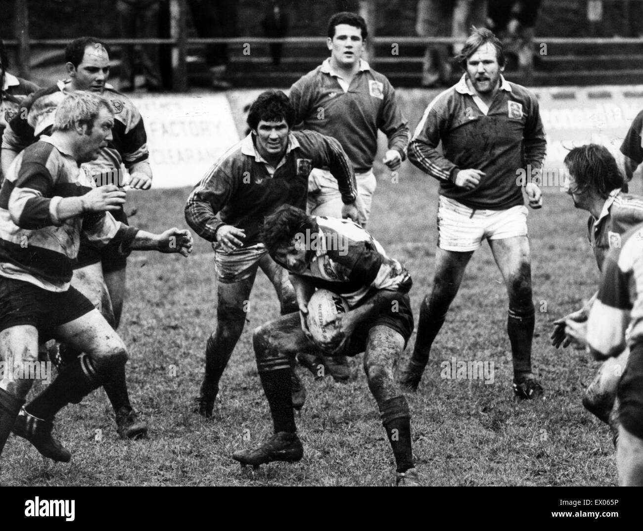 Kerry Williams, Cross Keys RFU DVD Capitaine, prend la balle, match action v Llanelli, 2 février 1980. Banque D'Images