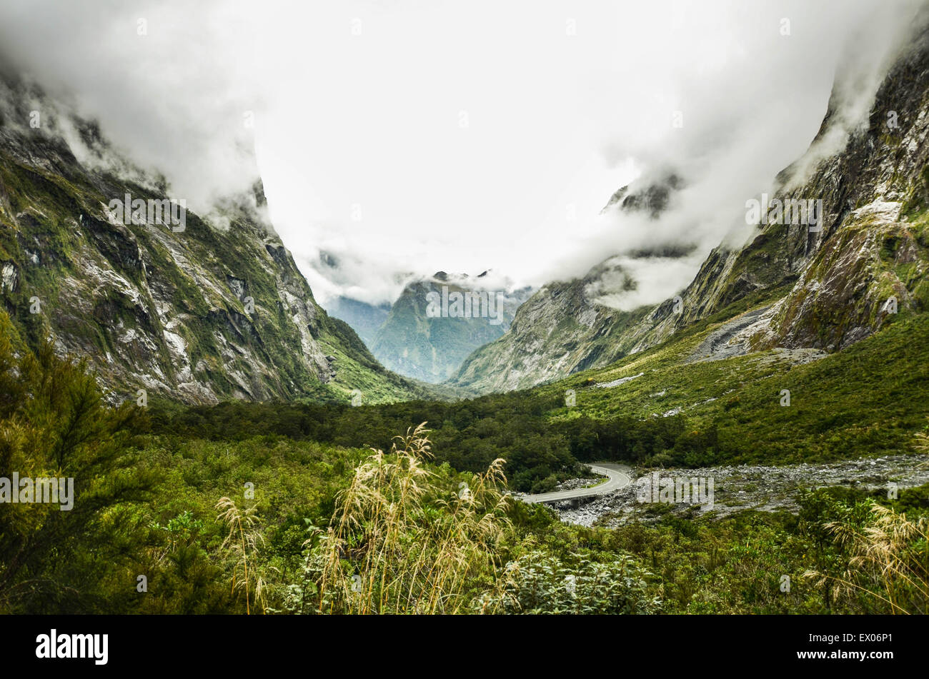 Route à travers le Parc National de Fiordland, Nouvelle-Zélande Banque D'Images