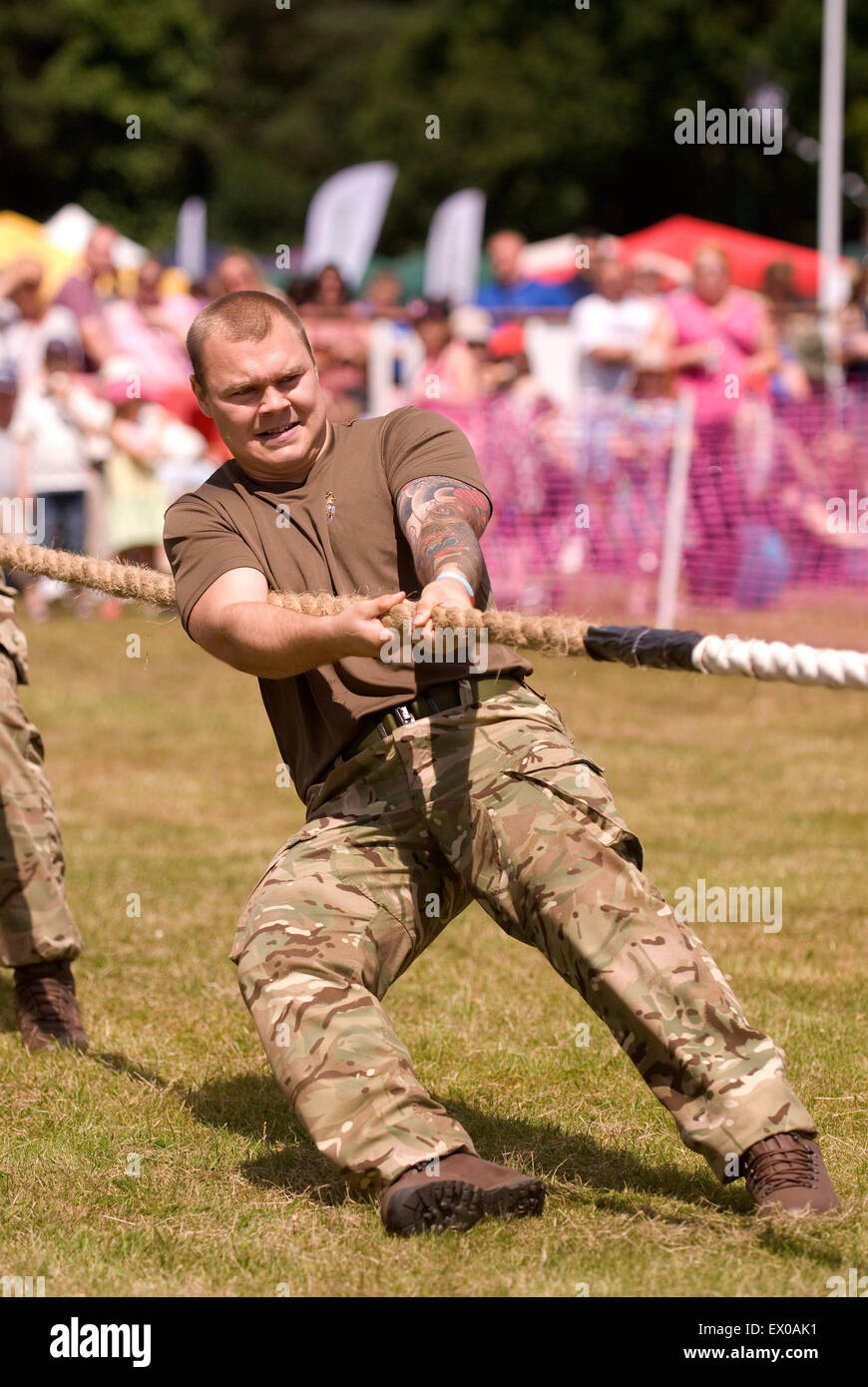 Trg 10 milliards entre remorqueur peloton 'o' War, adieu à la garnison Festival, Bordon, Hampshire, Royaume-Uni. Samedi 27 juin 2015. Banque D'Images
