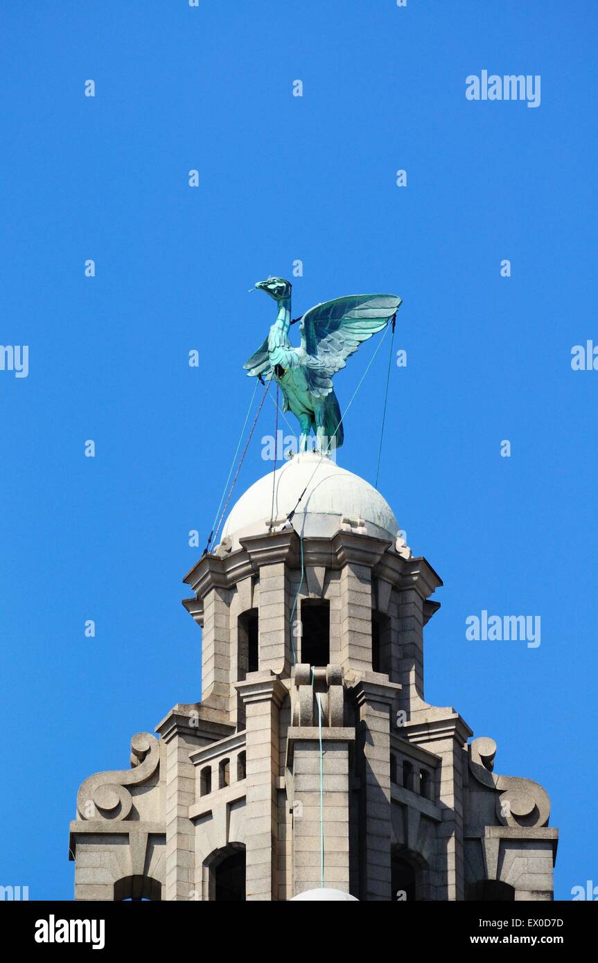 L'oiseau du foie sur le dessus de la Royal Liver Building, Liverpool, Merseyside, England, UK, Europe de l'Ouest. Banque D'Images