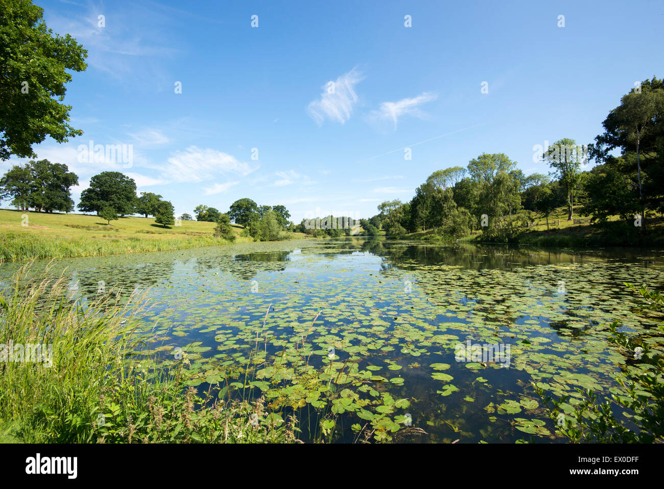 Staunton Harold réservoir dans le Leicestershire, Angleterre, Royaume-Uni Banque D'Images