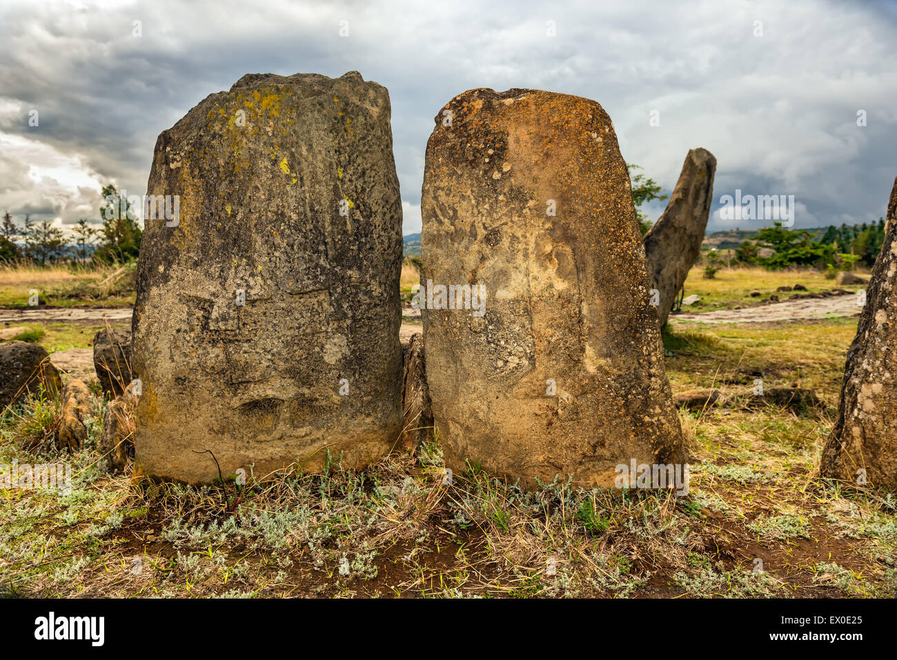 Tiya mégalithique des piliers de pierre, Site du patrimoine mondial de l'UNESCO à Addisabéba, près de l'Éthiopie. Banque D'Images