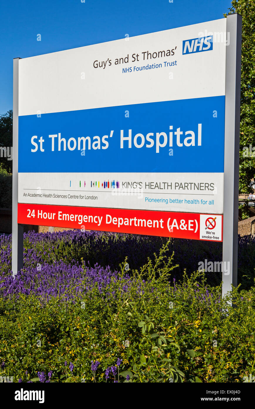 Londres, Royaume-Uni - 30 juin 2015 : une vue sur le quartier historique de St Thomas' Hospital de Londres, le 30 juin 2015. Banque D'Images