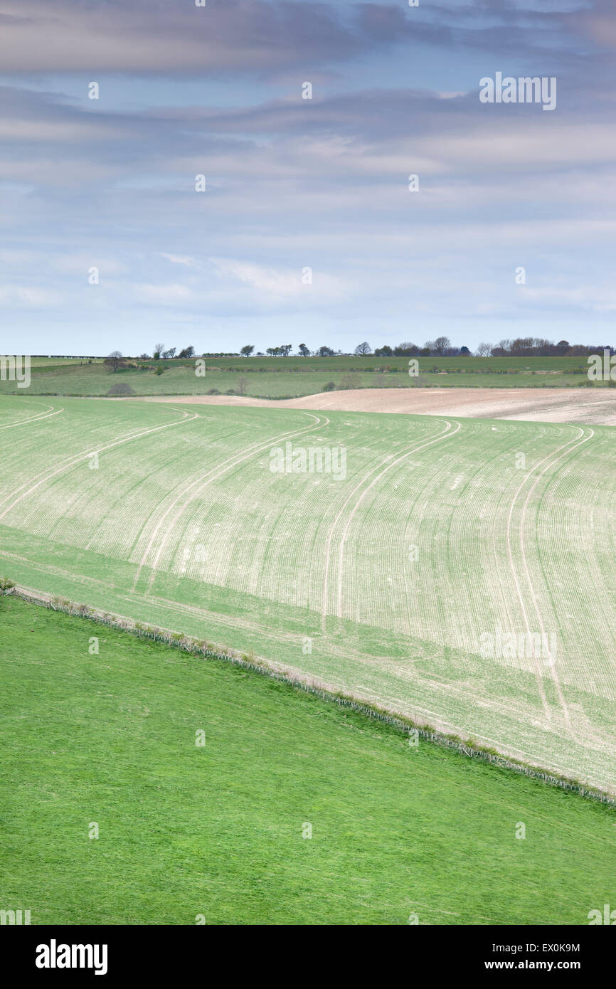 La campagne près de Thixendale dans le Yorkshire Wolds, East Yorkshire, UK Banque D'Images