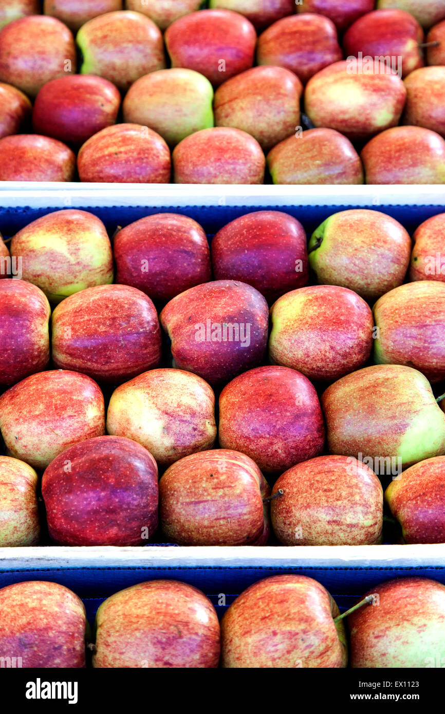 Les pommes, farmers market, Bruges, Belgique Banque D'Images