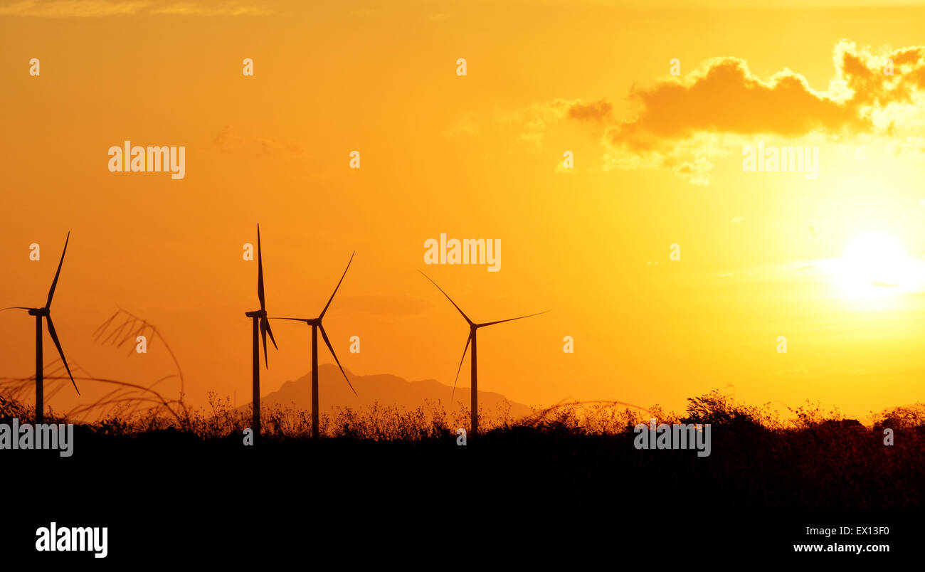 Les éoliennes comme silhouettes contre un beau coucher du soleil Banque D'Images