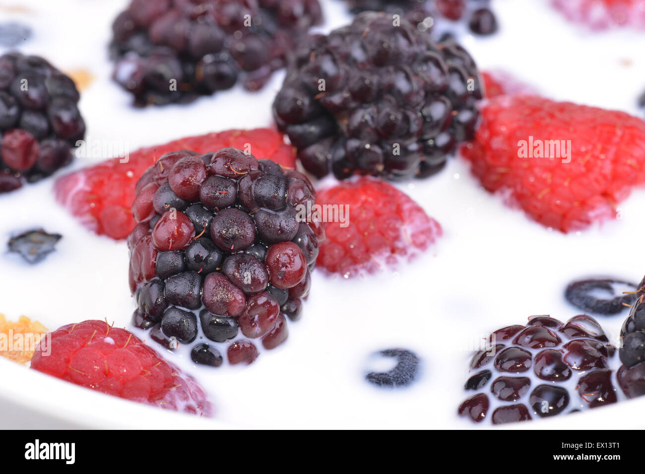 Plan Macro sur un bol de céréales aux fruits rouges Banque D'Images Plan Macro sur un bol de céréales aux fruits rouges Banque D'Images