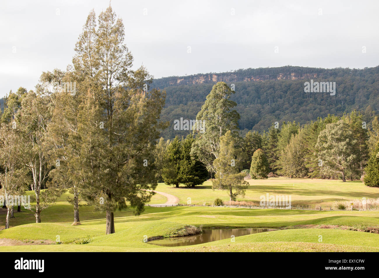 Kangaroo Valley Golf Course, Southern Highlands, New South Wales, Australie Banque D'Images
