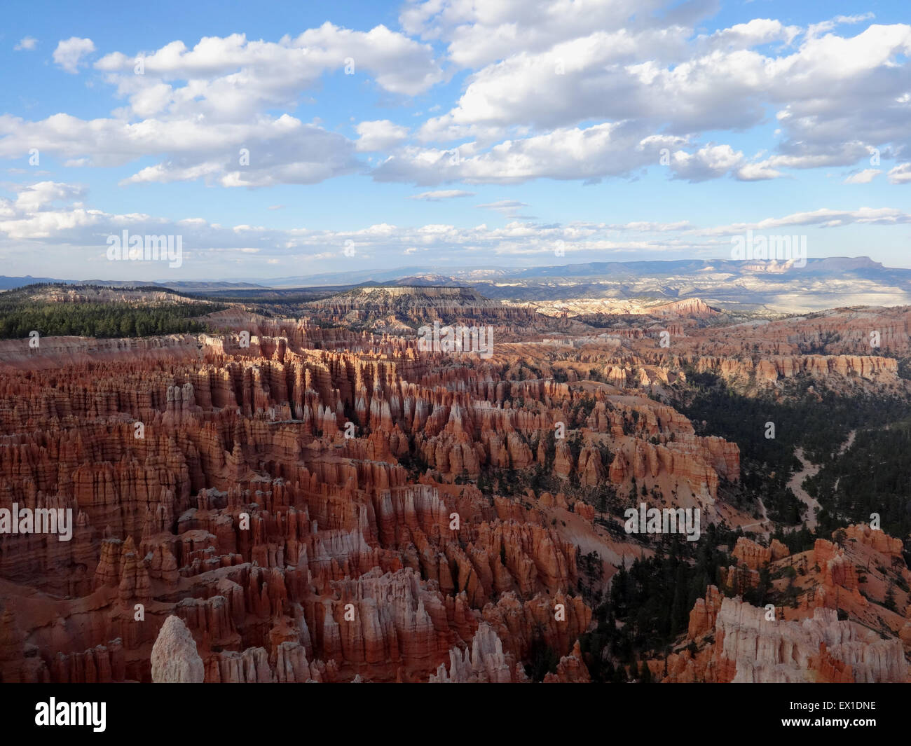 Nature impressionnante dans le Parc National de Bryce Canyon. Banque D'Images