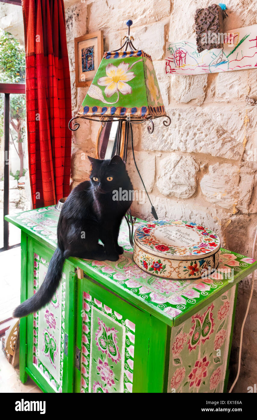 Chat Noir Assis Sur Une Table Sous Une Lampe Pres Du Fort Avec Des Voeux De Sante Et De Richesse Photo Stock Alamy Chat Noir Assis Sur Une Table Sous Une Lampe Pres Du Fort Avec Des Voeux De Sante Et De Richesse Photo Stock Alamy