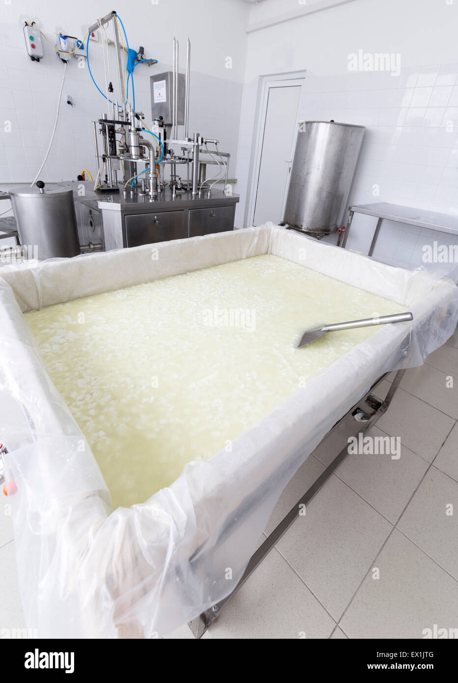 Un réservoir de lait de buffle avec fromage dans une petite famille creamery est la préparation d'un lot de fromage. La ferme laitière est spécialisée dans buffal Banque D'Images