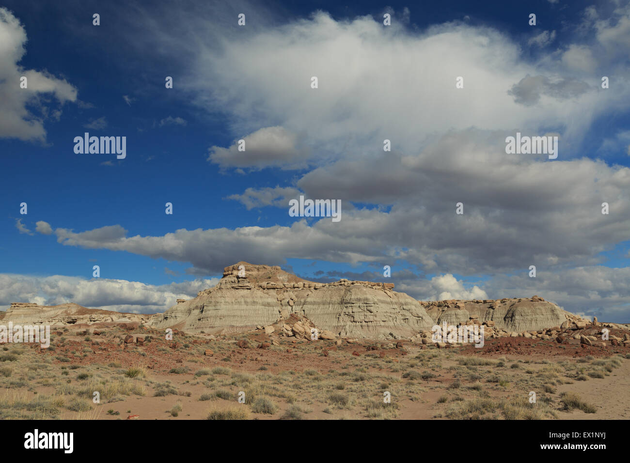 Une photographie de paysage Parc National de la Forêt Pétrifiée, en Arizona. Petrified Forest National Park est un des États-Unis. Banque D'Images