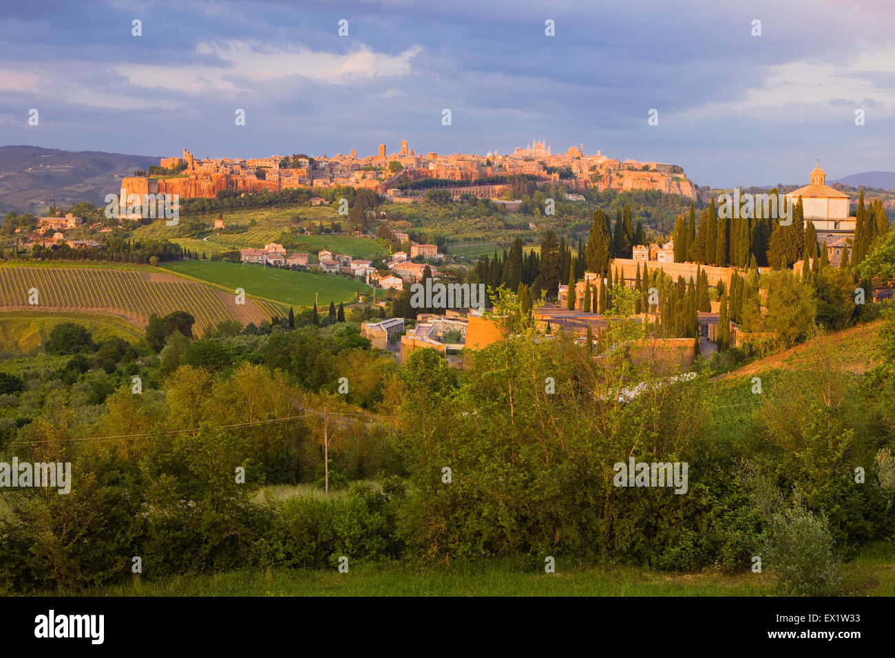 Vue de la colline de la ville médiévale d'Orvieto, Ombrie, Italie Banque D'Images