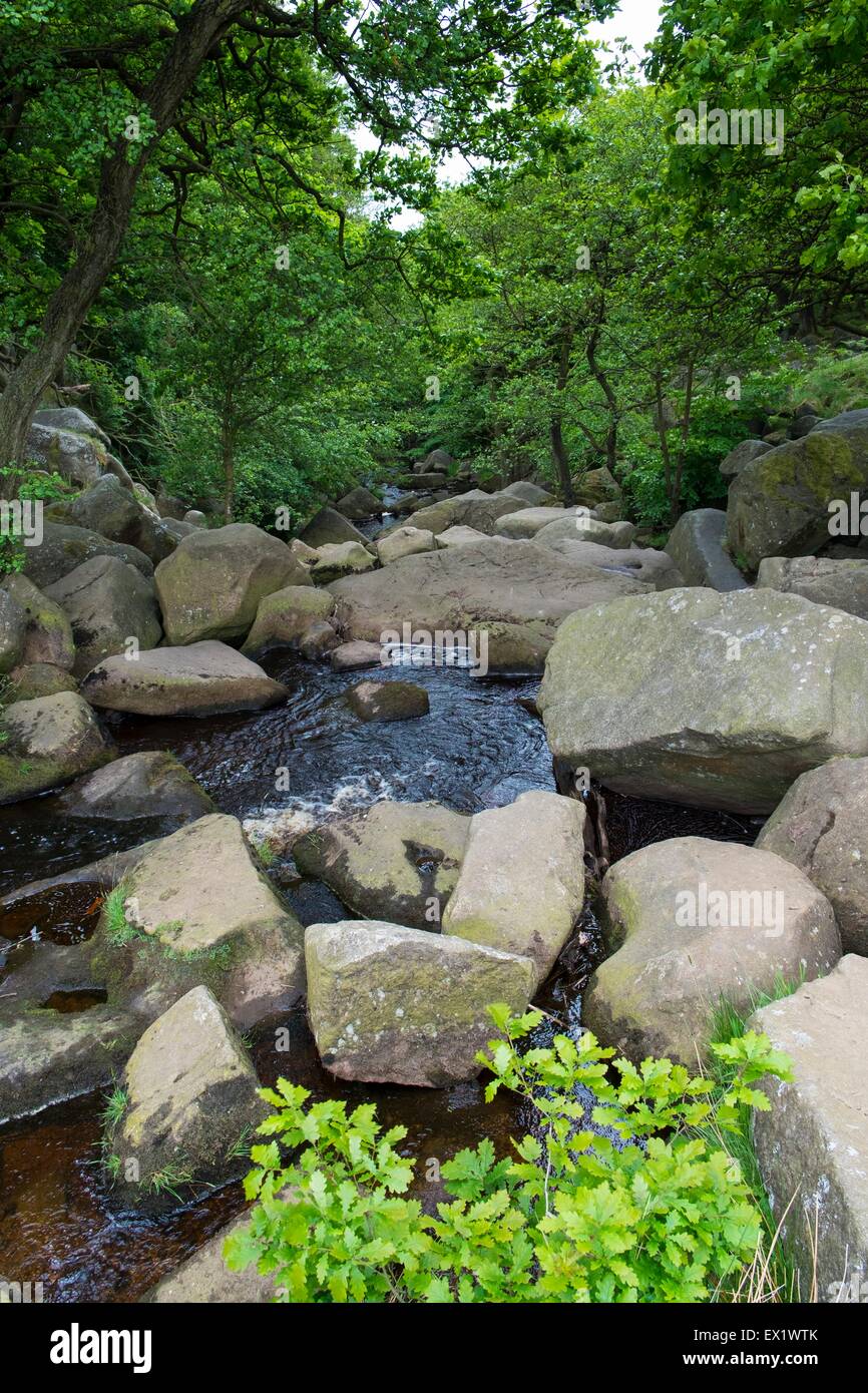 Burbage Brook, Peak District Banque D'Images