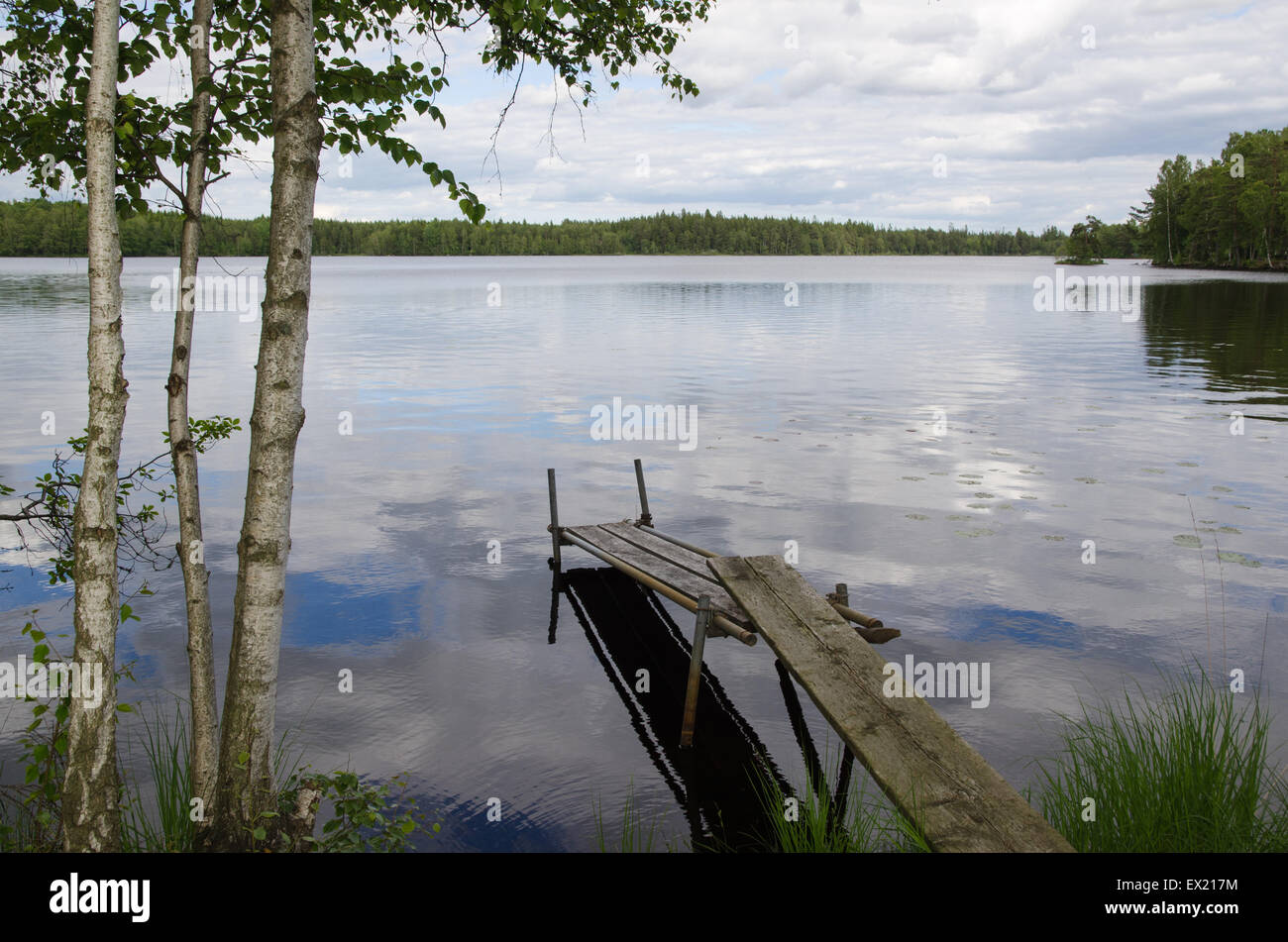 Vue idyllique sur un lac calme avec une ancienne jetée et de bouleaux en Suède Banque D'Images