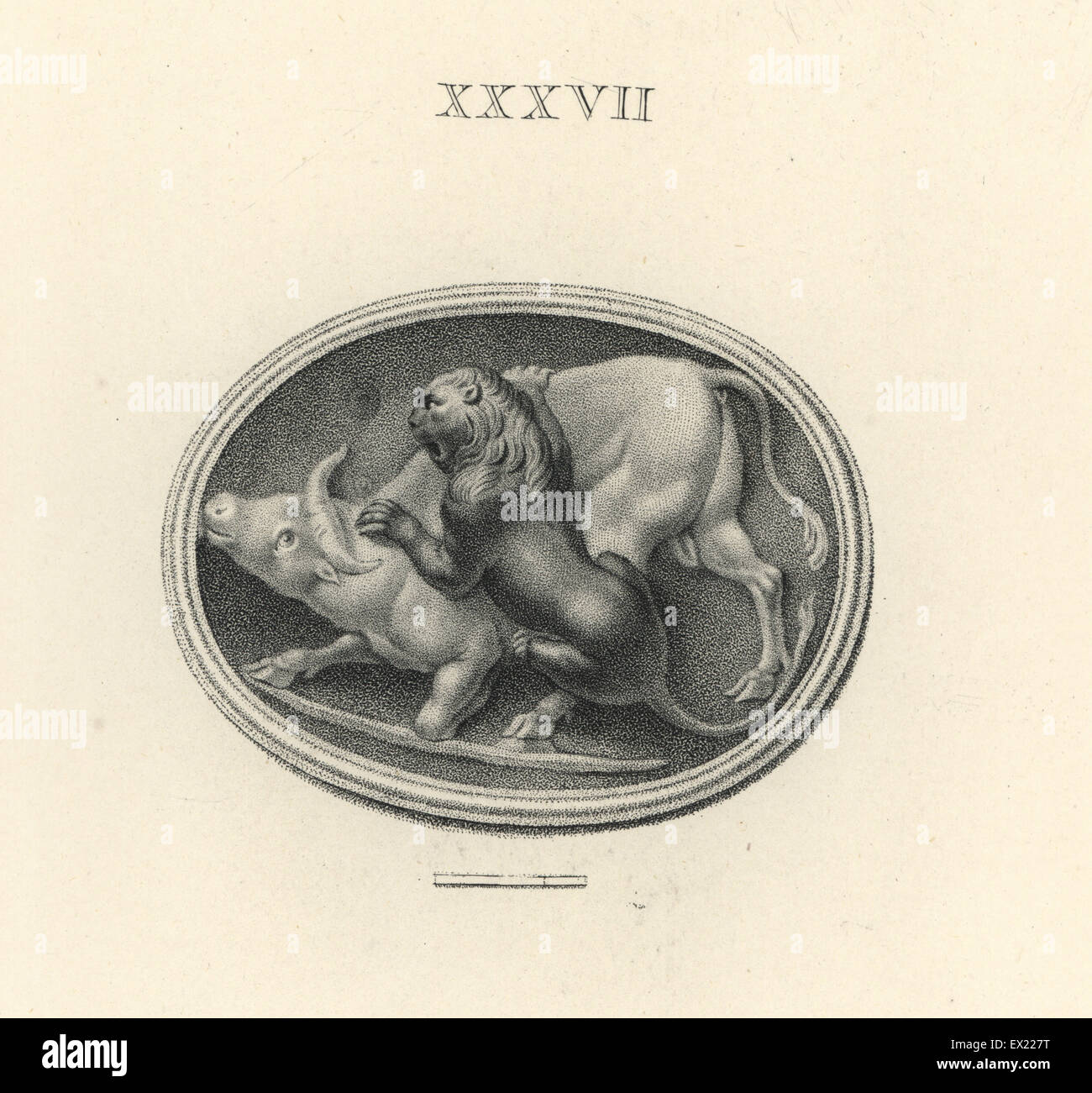 Bull a annulé par un lion. La gravure sur cuivre par Francesco Bartolozzi à partir de 108 plaques de pierres antiques, 1860. Les pierres étaient de la collection du duc de Marlborough. Banque D'Images