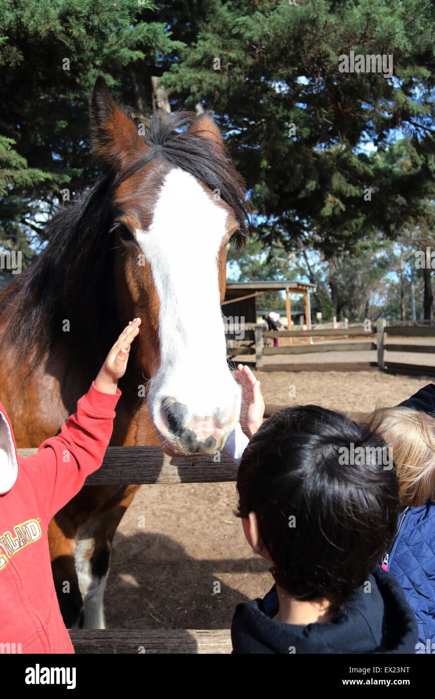 Les enfants se congratuler un cheval à la ferme des animaux Banque D'Images