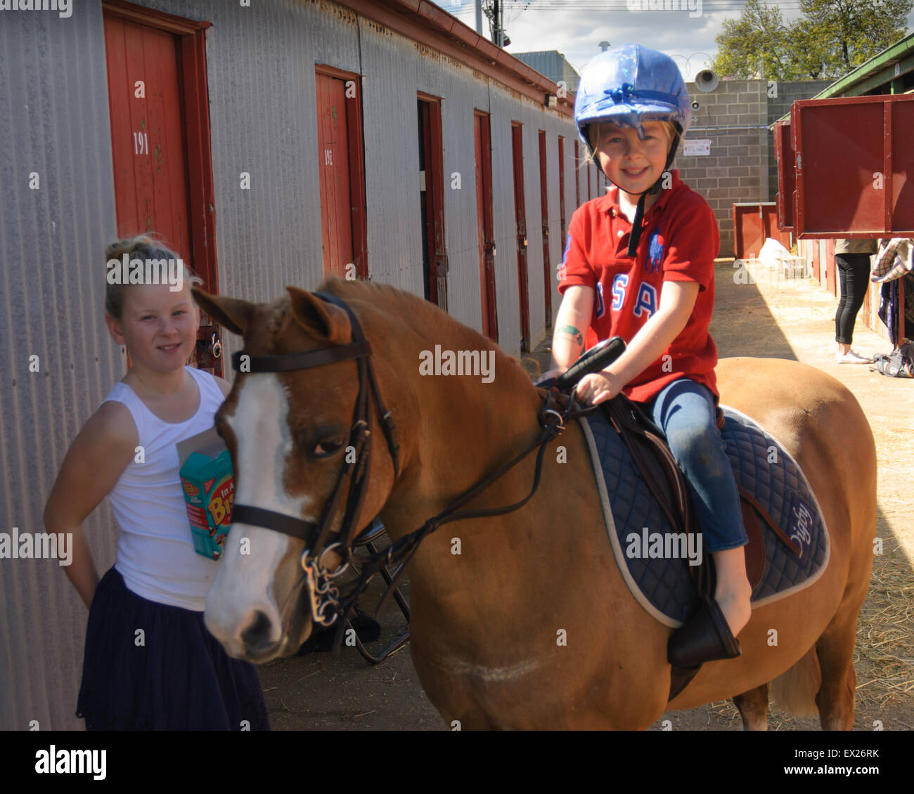 La préparation des chevaux pour le spectacle au salon Royal Adelaide, Australie du Sud. Banque D'Images