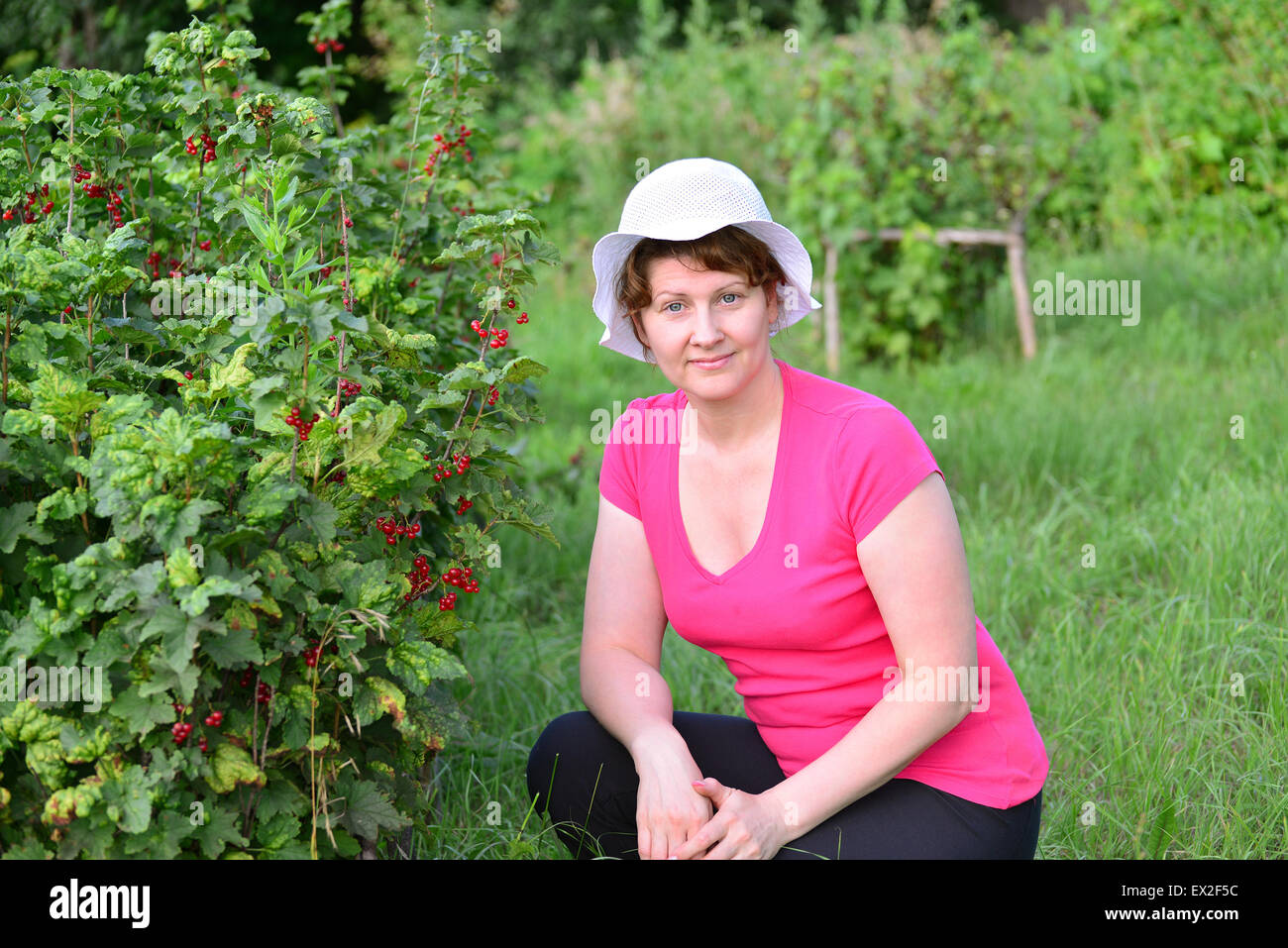 Femme procure une récolte de groseille rouge dans le jardin Banque D'Images