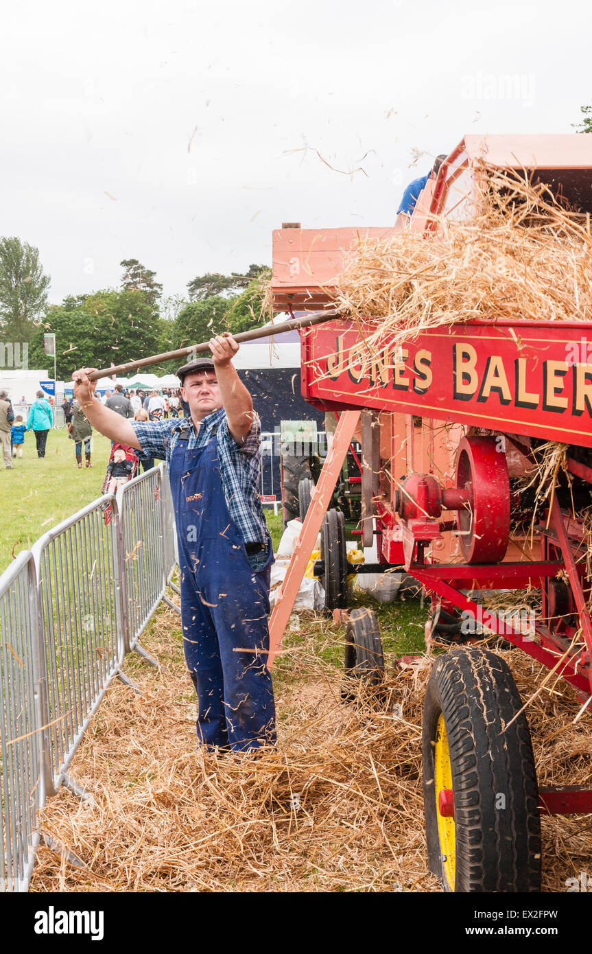 Un homme se charge du foin dans une ancienne presse à balles de foin Banque D'Images
