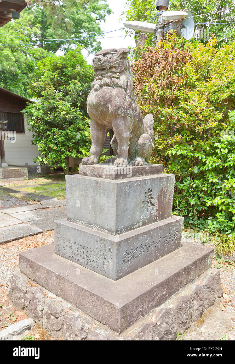 Garde d'Shinobusuwa statue Komainu (sanctuaire Toshogu Shinto) dans Gyoda ville, Préfecture de Saitama, Japon Banque D'Images
